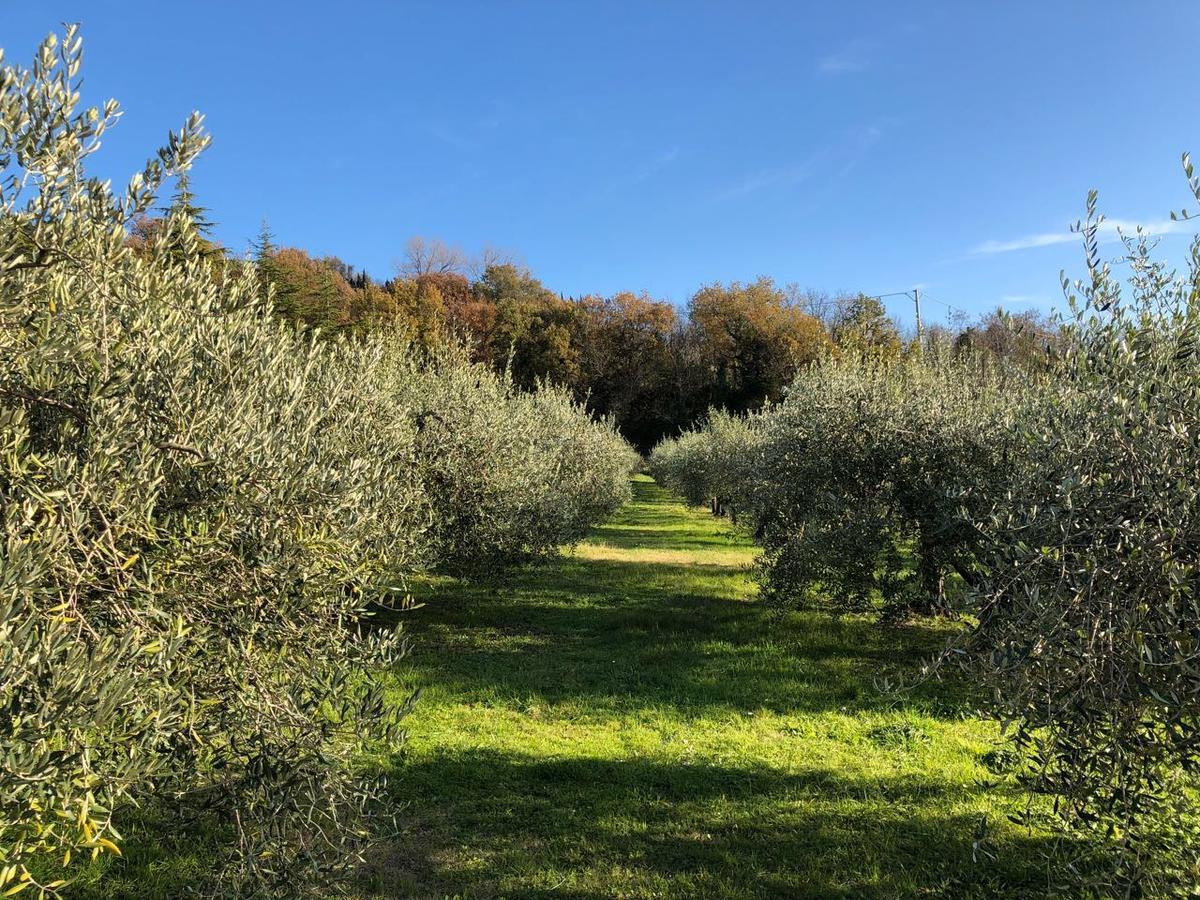 La Tenuta Del Giglio Villa Tavullia Exteriör bild